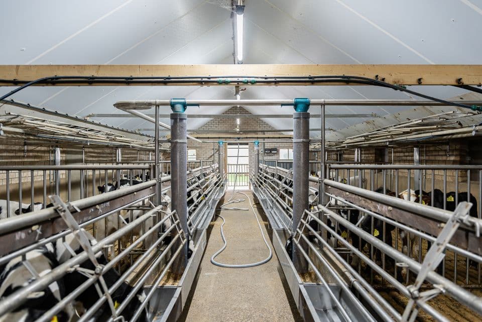 Frens Esveld - Kalver voederverdeler 